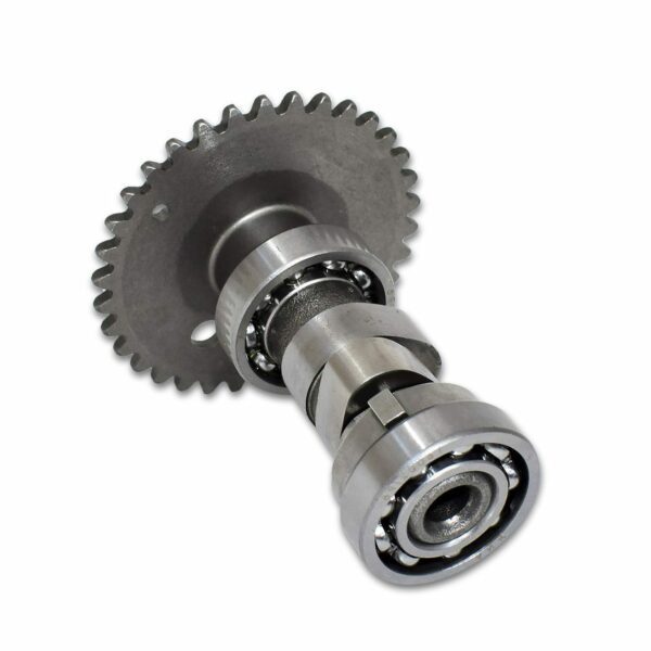 ΕΚΚΕΝΤΡΟΦΟΡΟΣ GY 125 STD, ΟΕΜ