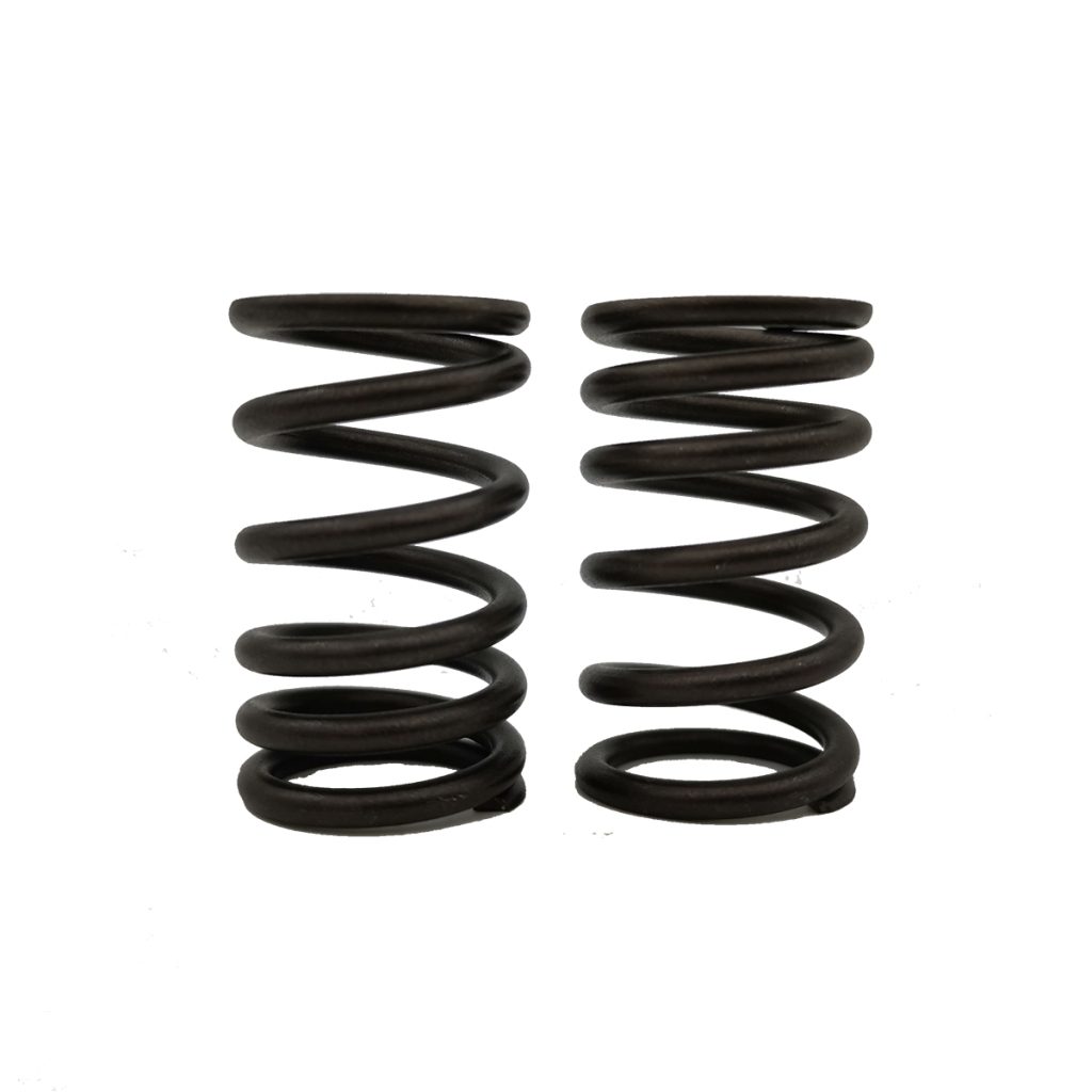 ΕΛΑΤΗΡΙΑ ΒΑΛΒΙΔΩΝ RACING HONDA GRAND EX5 2.9X38L TOBAKI