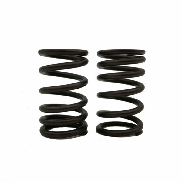 ΕΛΑΤΗΡΙΑ ΒΑΛΒΙΔΩΝ RACING HONDA GRAND EX5 2.9X38L TOBAKI