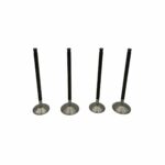 ΒΑΛΒΙΔΕΣ ΣΕΤ 25-22 ΝΙΤΡΙΔΙΟΥ YAMAHA CRYPTON X 135 ESPADA