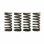 ΕΛΑΤΗΡΙΑ ΒΑΛΒΙΔΩΝ RACING 2.6X39.7L SYM VF 185 TOBAKI