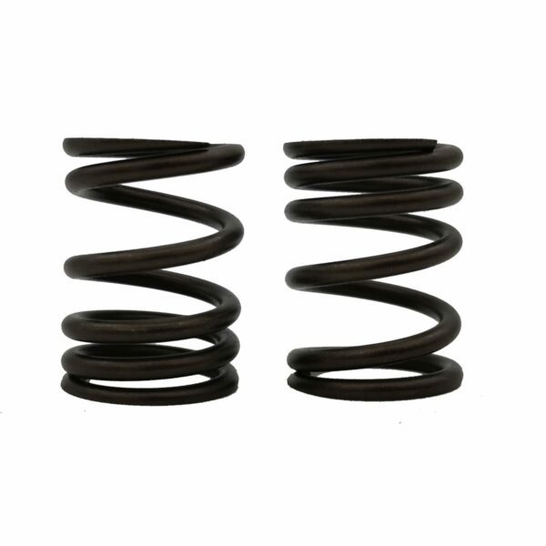 ΕΛΑΤΗΡΙΑ ΒΑΛΒΙΔΩΝ RACING 2.8X31L HONDA WAVE / GRAND 110 FI TOBAKI