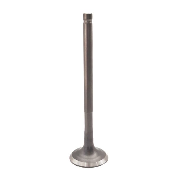 ΒΑΛΒΙΔΑ ΕΞΑΓΩΓΗΣ HONDA WAVE 110 TOBAKI