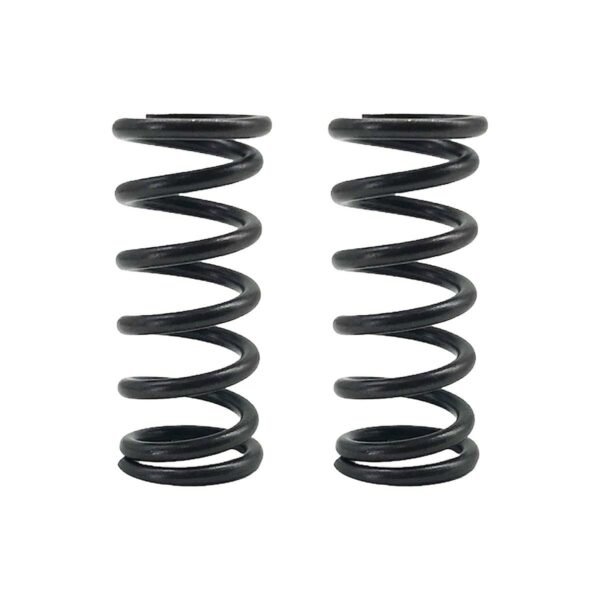 ΕΛΑΤΗΡΙΑ ΒΑΛΒΙΔΩΝ RACING (2.5X43.5L) MODENAS KRISS 110 TOBAKI