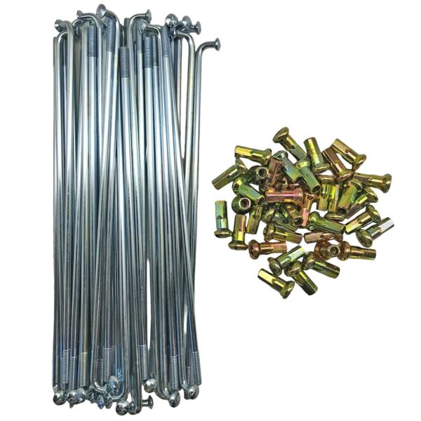 ΑΚΤΙΝΕΣ 10H 157MM ΑΠΛΕΣ