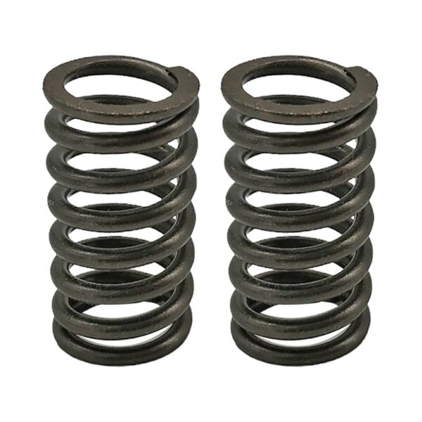 ΕΛΑΤΗΡΙΑ ΒΑΛΒΙΔΩΝ ΣΕΤ KAWASAKI KRISS KAZER 2 ΤΕΜ