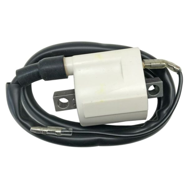 ΠΟΛΛΑΠΛΑΣΙΑΣΤΗΣ YAMAHA T50 OEM