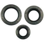 ΤΣΙΜΟΥΧΕΣ ΚΙΝΗΤΗΡΑ ΜΟΤΕΡ ΣΕΤ 3ΤΜΧ KAWASAKI KAZER