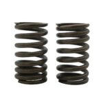 ΕΛΑΤΗΡΙΑ ΒΑΛΒΙΔΩΝ RACING CRYPTON 110/115 3.2X31.5L TOBAKI