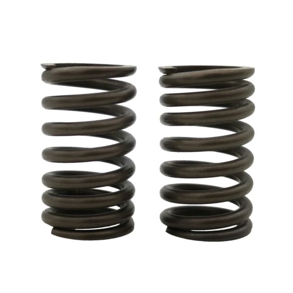 ΕΛΑΤΗΡΙΑ ΒΑΛΒΙΔΩΝ RACING CRYPTON 110/115 3.2X31.5L TOBAKI