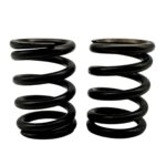 ΕΛΑΤΗΡΙΑ ΒΑΛΒΙΔΩΝ RACING CRYPTON S 115 3.2X32L TOBAKI