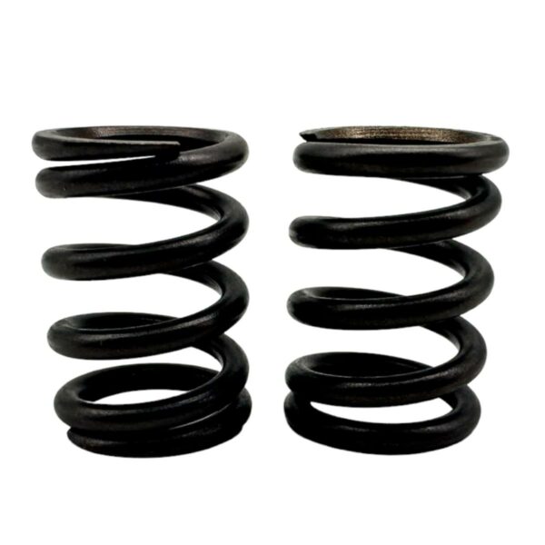 ΕΛΑΤΗΡΙΑ ΒΑΛΒΙΔΩΝ RACING CRYPTON S 115 3.2X32L TOBAKI