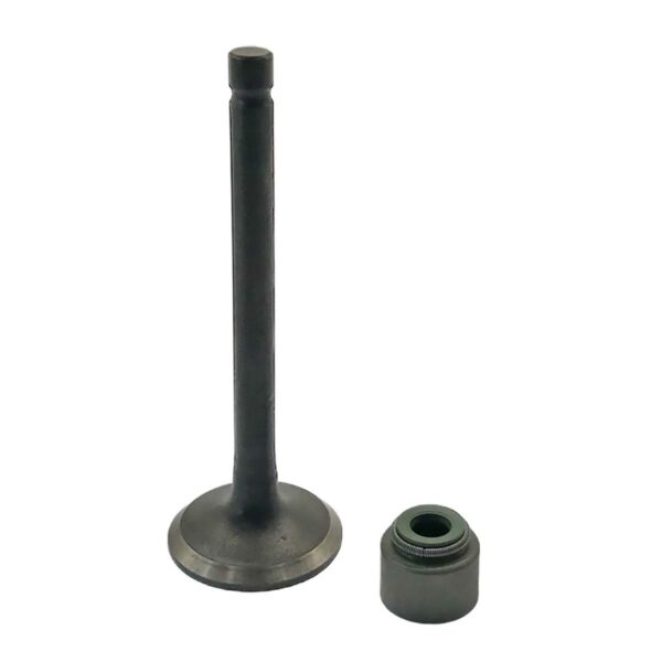 ΒΑΛΒΙΔΑ ΕΞΑΓΩΓΗΣ 22ΜΜ + ΤΣΙΜΟΥΧΑΚΙ ΒΑΛΒΙΔΩΝ CRYPTON 110/115 RACING YAGUSO