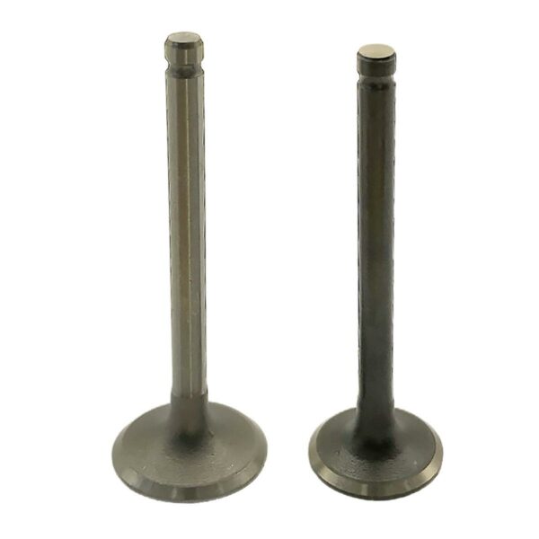 ΒΑΛΒΙΔΕΣ ΣΕΤ ASTREA EX5 ΓΝΗΣΙΕΣ