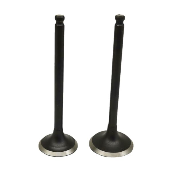 ΒΑΛΒΙΔΕΣ ΣΕΤ 20% ΤΙΤΑΝΙΟΥ YAMAHA CRYPTON R 115 FAITO