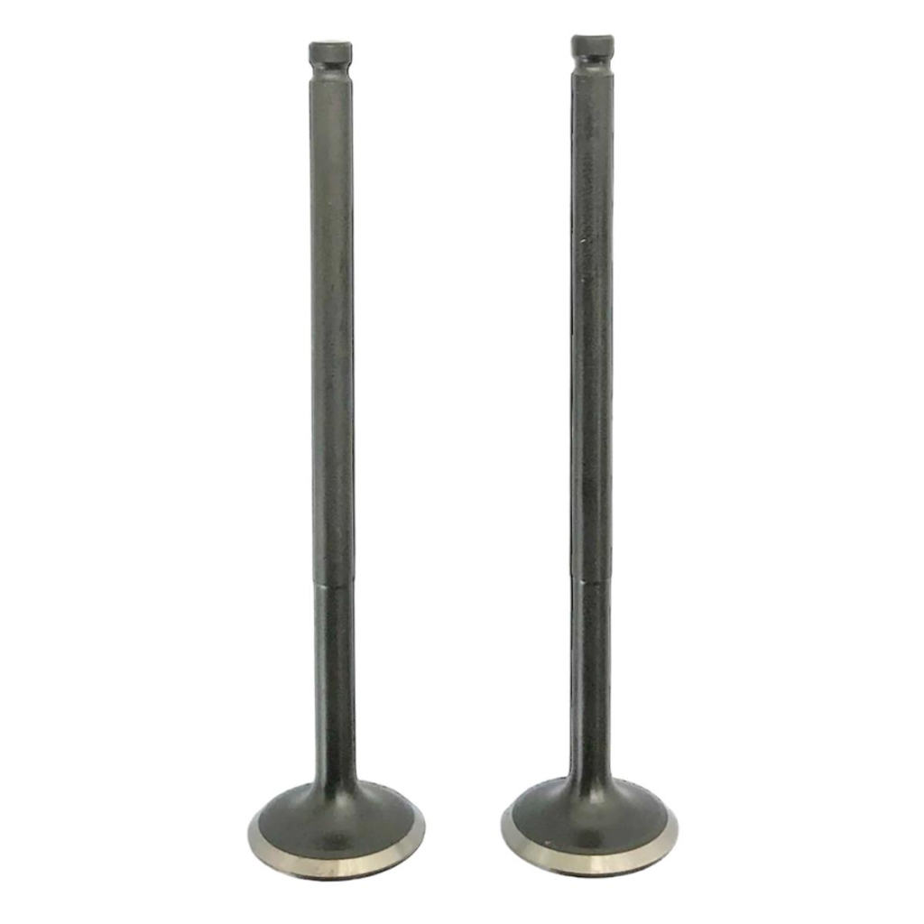 ΒΑΛΒΙΔΕΣ ΖΕΥΓΟΣ RACING 19MM YAMAHA CRYPTON X 135 TOBAKI