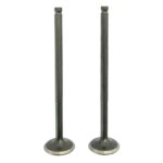 ΒΑΛΒΙΔΕΣ ΖΕΥΓΟΣ RACING 19MM YAMAHA CRYPTON X 135 TOBAKI