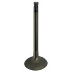 ΒΑΛΒΙΔΑ ΕΙΣΑΓΩΓΗΣ (12911-28G20) SUZUKI ADDRESS FL125 TOBAKI