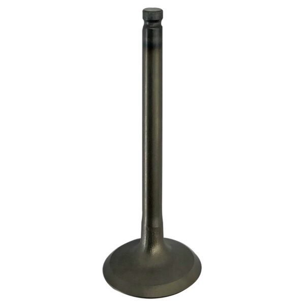 ΒΑΛΒΙΔΑ ΕΙΣΑΓΩΓΗΣ (12911-28G20) SUZUKI ADDRESS FL125 TOBAKI