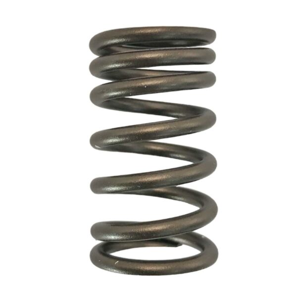 ΕΛΑΤΗΡΙΟ ΒΑΛΒΙΔΩΝ ΓΝΗΣΙΟ KAWASAKI KAZE-R 115