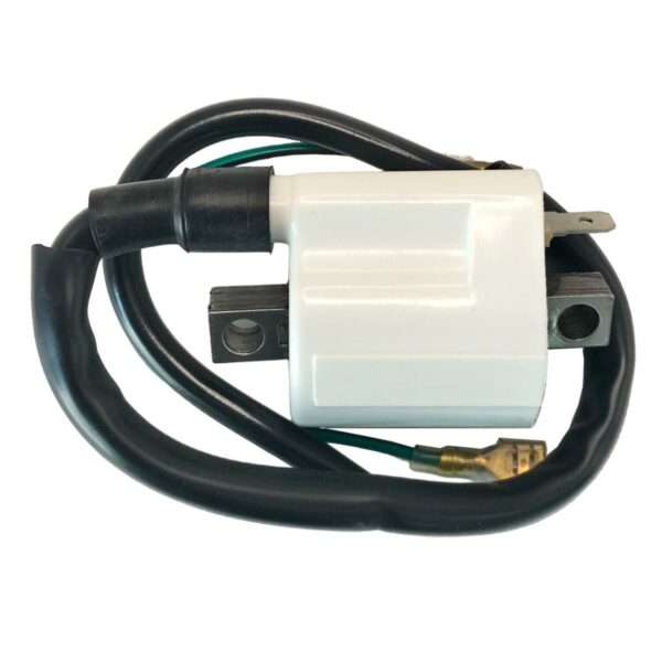 ΠΟΛΛΑΠΛΑΣΙΑΣΤΗΣ YAMAHA T50 IKKYU