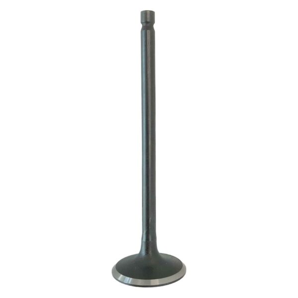 ΒΑΛΒΙΔΑ ΕΙΣΑΓΩΓΗΣ SYM VF 185