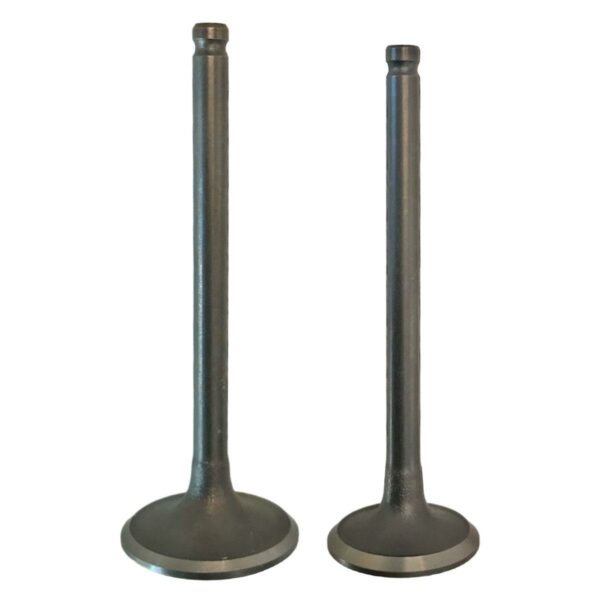 ΒΑΛΒΙΔΕΣ ΕΙΣΑΓΩΓΗΣ - ΕΞΑΓΩΓΗΣ ΣΕΤ ΓΝΗΣΙΕΣ YAMAHA CRYPTON R 115