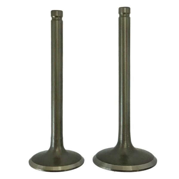 ΒΑΛΒΙΔΕΣ ΣΕΤ 28-24 ASTREA ESPADA