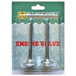 ΒΑΛΒΙΔΕΣ ΣΕΤ HONDA ASTREA W-STANDART