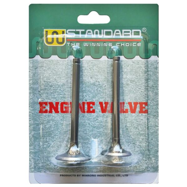 ΒΑΛΒΙΔΕΣ ΣΕΤ HONDA ASTREA W-STANDART