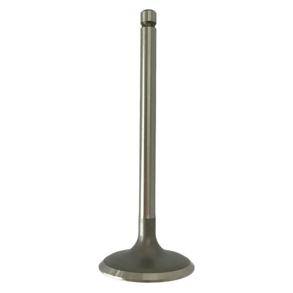 ΒΑΛΒΙΔΑ ΕΙΣΑΓΩΓΗΣ YAMAHA XT 200 / BW 200 TKRJ