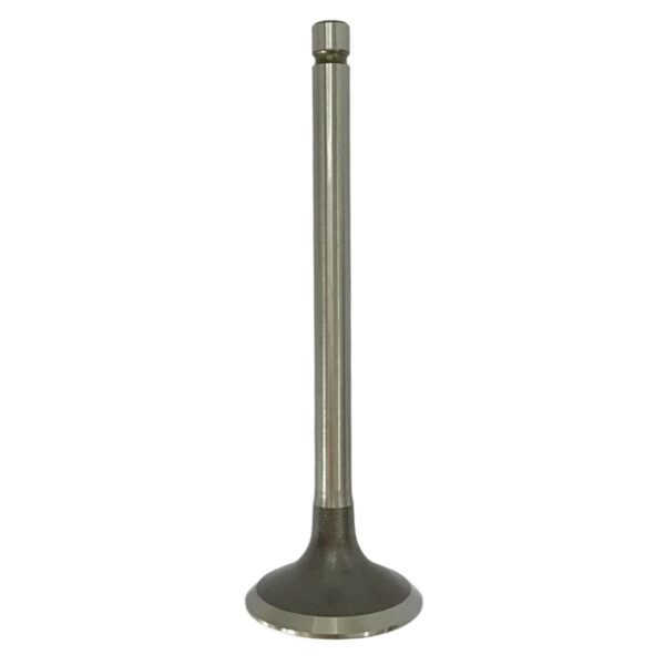 ΒΑΛΒΙΔΑ ΕΞΑΓΩΓΗΣ YAMAHA XT 200 / BW 200 TKRJ