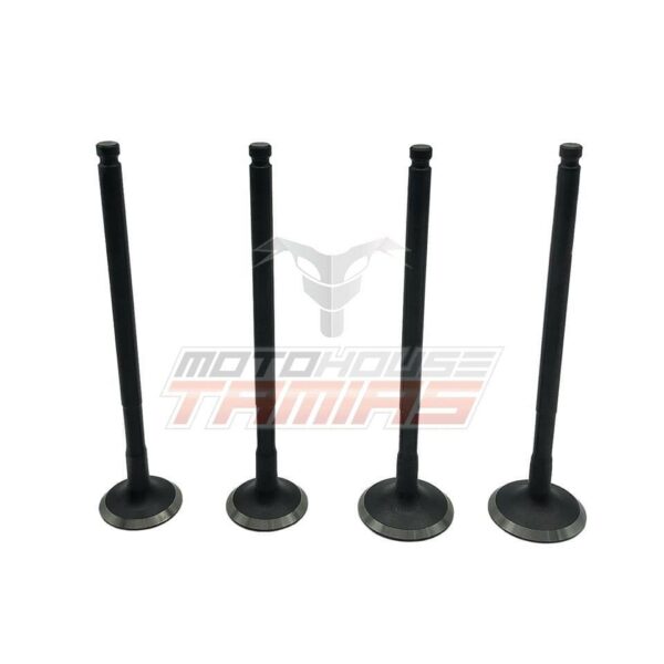 Βαλβίδες YAMAHA CRYPTON X-135 19 / 22 (LC135) RACING TAIWAN