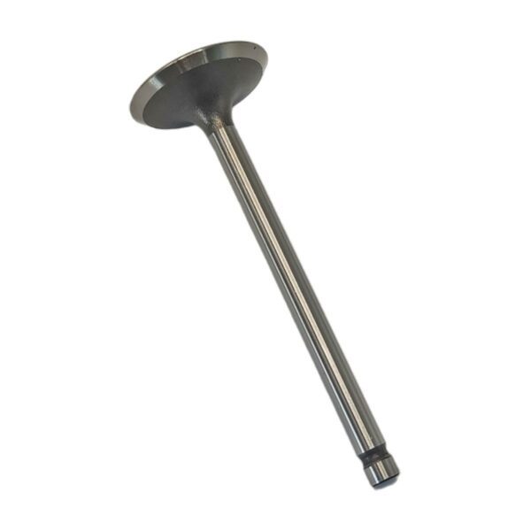 ΒΑΛΒΙΔΑ ΕΙΣΑΓΩΓΗΣ HONDA LEAD 100 TKRJ