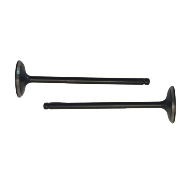 ΒΑΛΒΙΔΕΣ ΕΙΣΑΓΩΓΗΣ ΖΕΥΓΟΣ 24ΜΜ RACING YAMAHA CRYPTON X 135 TOBAKI