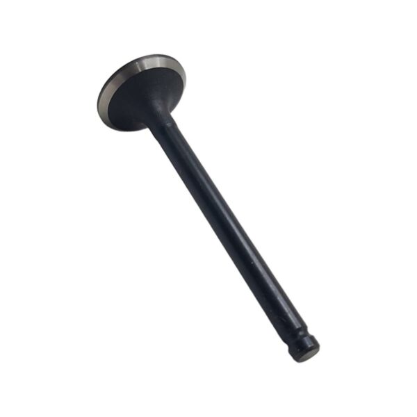 ΒΑΛΒΙΔΑ ΕΞΑΓΩΓΗΣ HONDA ASTREA GRAND 100 SELINAYO