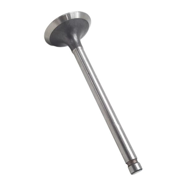 ΒΑΛΒΙΔΑ ΕΙΣΑΓΩΓΗΣ SUZUKI FB 80 NIPPON