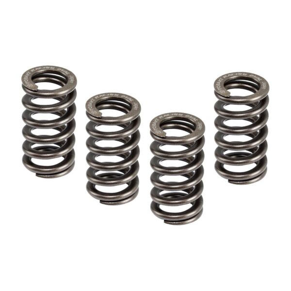 ΕΛΑΤΗΡΙΑ ΒΑΛΒΙΔΩΝ ΟΒΑΛ RACING HONDA GTR 150 (3.9X2.8X37.7L) TOBAKI