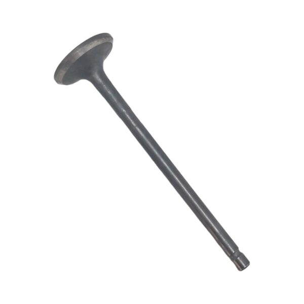 ΒΑΛΒΙΔΑ ΕΙΣΑΓΩΓΗΣ SUZUKI FX 125