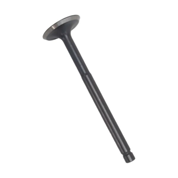 ΒΑΛΒΙΔΑ ΕΙΣΑΓΩΓΗΣ PIAGGIO ZIP 50 IQ TECH