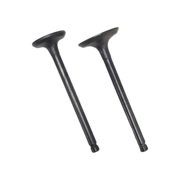 ΒΑΛΒΙΔΕΣ ΖΕΥΓΟΣ HONDA LEAD 100