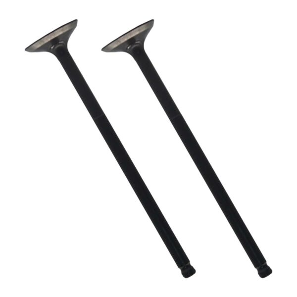 ΒΑΛΒΙΔΕΣ ΖΕΥΓΟΣ ΕΞΑΓΩΓΗΣ 19ΜΜ RACING YAMAHA NMAX 155 TOBAKI