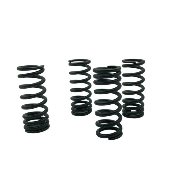 ΕΛΑΤΗΡΙΑ ΒΑΛΒΙΔΩΝ YAMAHA CRYPTON 135 ΣΚΛΗΡΑ K2 LEO