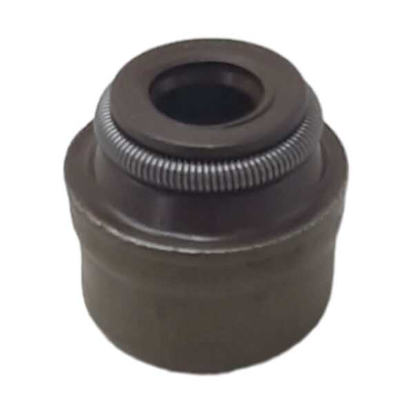 ΤΣΙΜΟΥΧΑΚΙ ΒΑΛΒΙΔΩΝ PIAGGIO 50-500CC