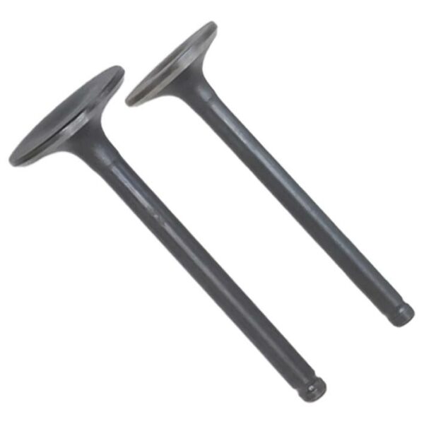 ΒΑΛΒΙΔΕΣ ΖΕΥΓΟΣ ΓΝΗΣΙΕΣ SUZUKI SHOGUN 110