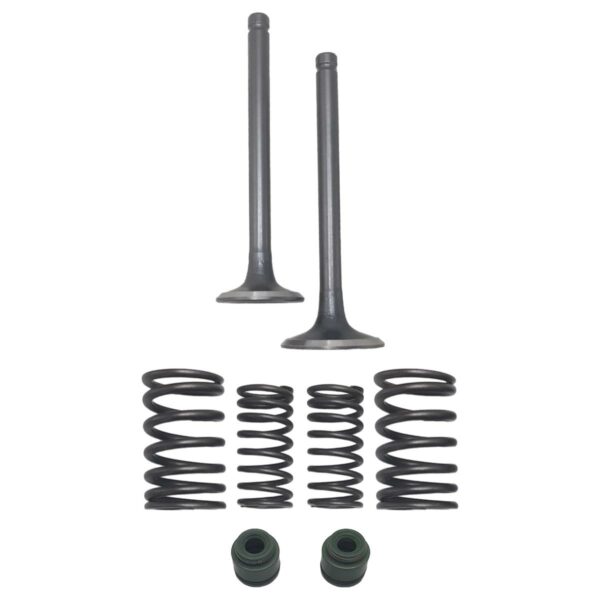 ΒΑΛΒΙΔΕΣ ΚΙΤ HONDA ASTREA GRAND 100 W-STANDARD