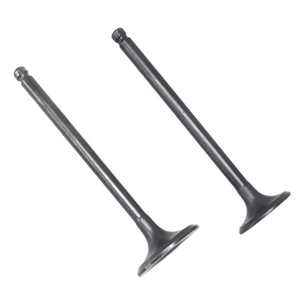 ΒΑΛΒΙΔΕΣ ΖΕΥΓΟΣ SYM JET 14 125 MA1