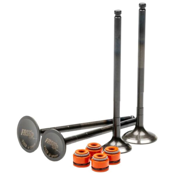 ΒΑΛΒΙΔΕΣ 22/19 ΜΕ ΤΣΙΜΟΥΧΑΚΙΑ YAMAHA CRYPTON X 135 FASSTEK