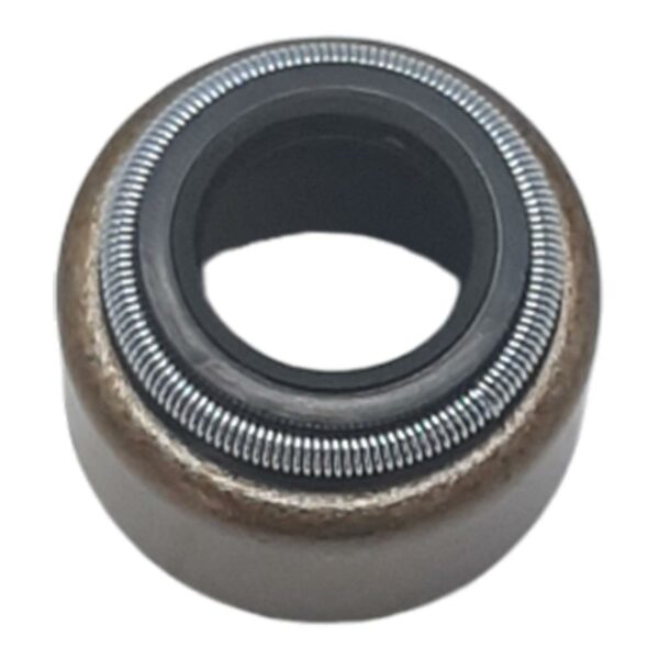 ΤΣΙΜΟΥΧΕΣ ΒΑΛΒΙΔΩΝ YAMAHA XT 600 JAPAN