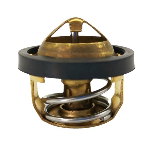 Θερμοστάτες